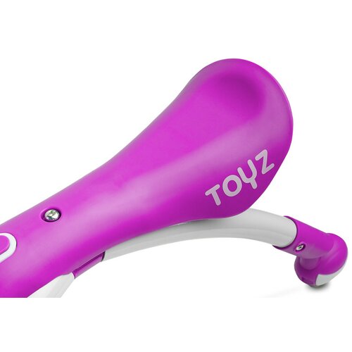 Toyz Hro&amp;scaron;č 2v1 sprehajalec in poganjalec Vijolična isk Slike