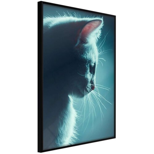  Poster - Adorable Furball 30x45 Slike
