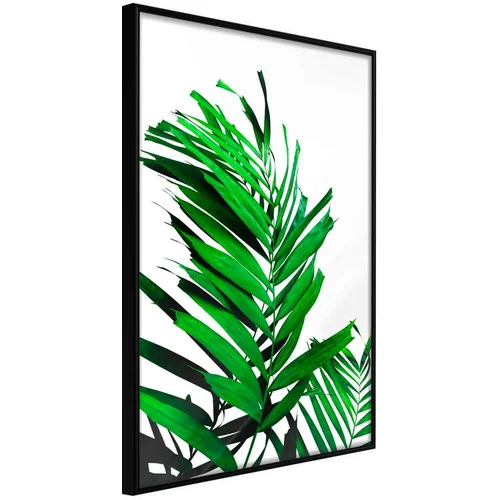  Poster - Emerald Palm 40x60