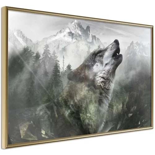  Poster - Wolf's Territory 60x40