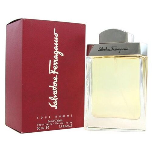 Salvatore Ferragamo Pour Homme toaletna voda za mo&amp;scaron;ke 100 ml Slike