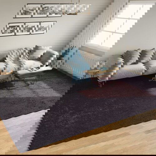 VidaXL Pralna preproga antracitna 400x300 cm protizdrsna Slike