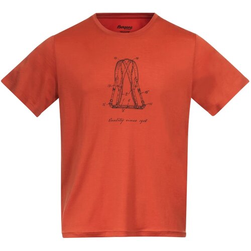 Bergans Men's T-shirt Graphic Wool Brick Slike