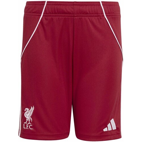 Adidas Kratke hlače &amp;amp; Bermuda Lfc H Sho Y Rdeča Slike