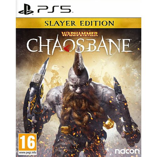 PS5 Warhammer Chaosbane Slike