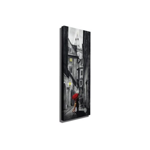 Symphony Slika na platnu 30x80cm Slike