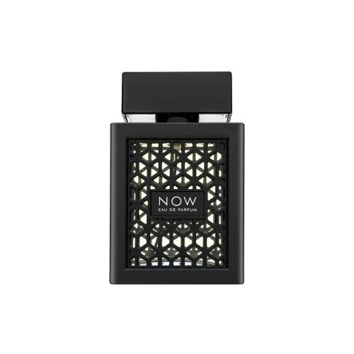 Rave Now 100 ml parfumska voda za moške Cene