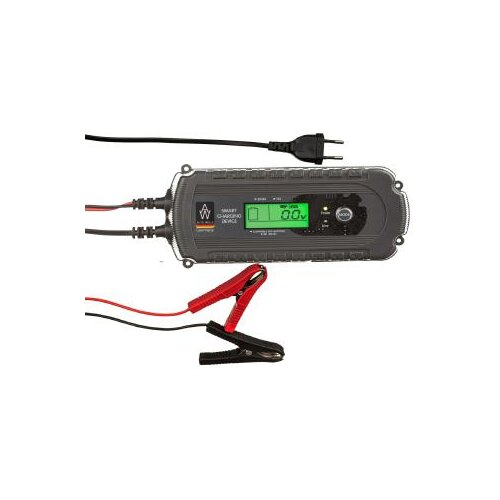 AUTO WELLE electronic repreper 12V 160a/h, (21400974) Slike