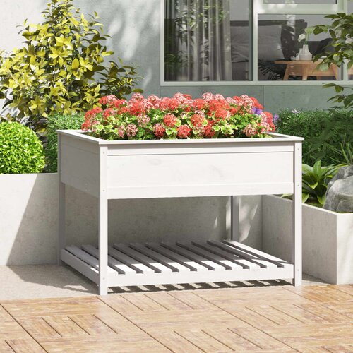 vidaXL visoka greda s polico bela 111,5x111,5x81 cm trdna borovina Cene