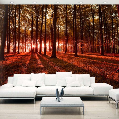  Samoljepljiva foto tapeta - Autumn Morning 196x140 Cijene