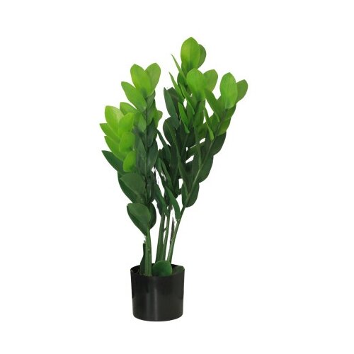 Dekordom Cvet u saksiji - money grass 5pcs - n60 ( 025150 ) Cene