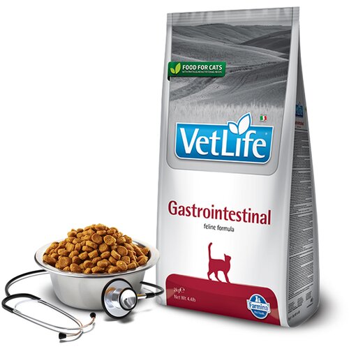 Vet Life medicinska hrana za mačke gastrointestinal 2kg Cene