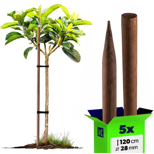 KADAX leseni koli, naostreni, impregnirani koli 120 cm, podporna palica Fi 28 mm, 5 kosov, (5000362361) Cene