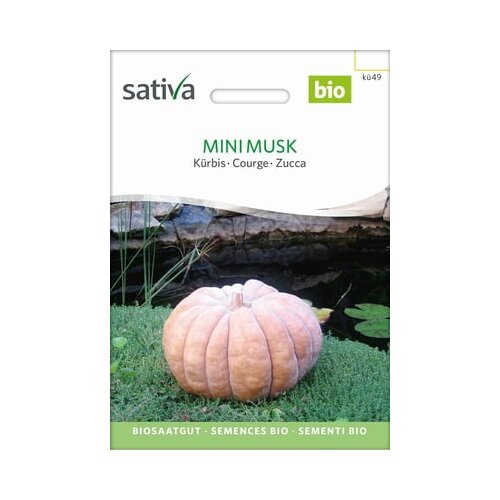 Sativa Buča Mini Musk Cene