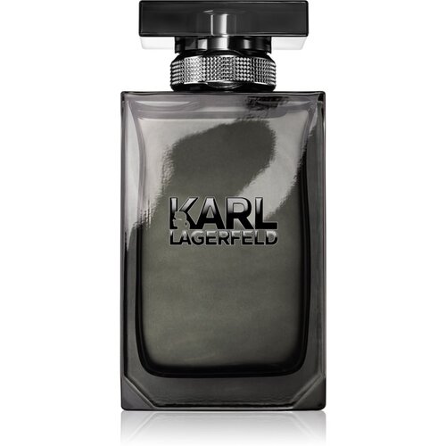 Karl Lagerfeld For Him toaletna voda 100 ml za moške Cene