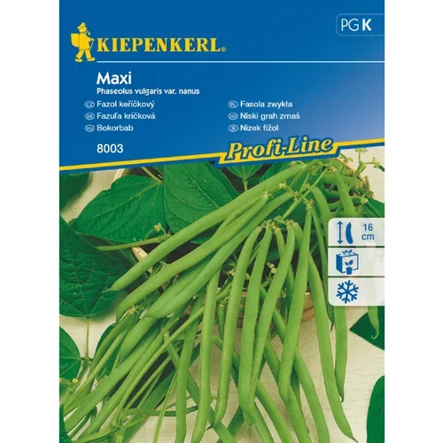 KIEPENKERL Nizek fižol Maxi Kiepenkerl (Phaseolus vulgaris var. nanus)