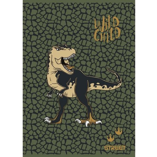 STREET Zvezek Dinosaurs A4 karo Slike