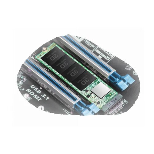 Transcend SSD 250GB/interni/M.2/NVMe/crna Cene