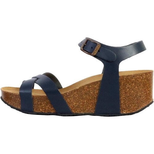 Plakton 250430 Slike
