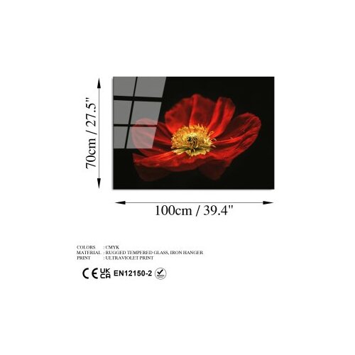 Wallxpert dekorativna slika od kaljenog stakla cvetan cvet crvenog maka (uv 204) 70 x 100cm Slike