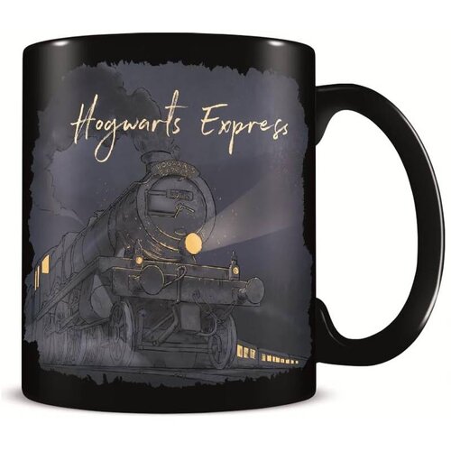 Pyramid šolja harry potter - glimmer of hope - heat change mug Cene