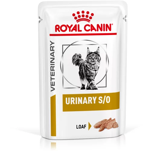 Royal Canin Veterinary Feline Urinary S/O - 24 x 85 g (mousse)