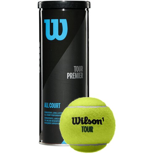 Wilson tour premier all ct 3 ball can, lopta za tenis, crna WRT109400 Cene
