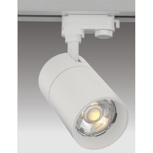  LED ŠINSKI REFLEKTOR LI4030, MFi, 10W, 3U1 DMB, Beli Cene