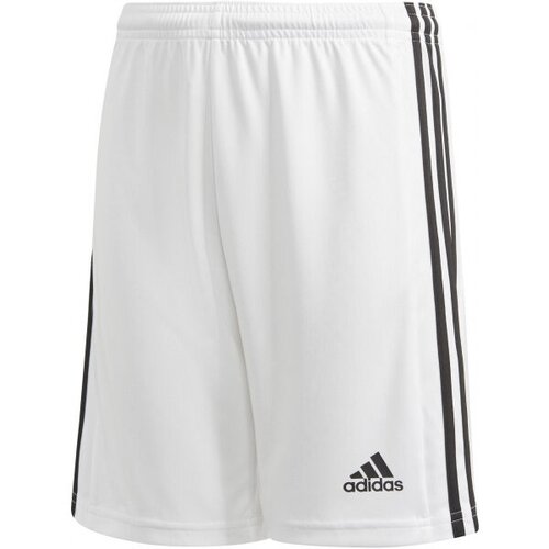 Adidas Hlače 3/4, 7/8 Squadra 21 Bela Slike