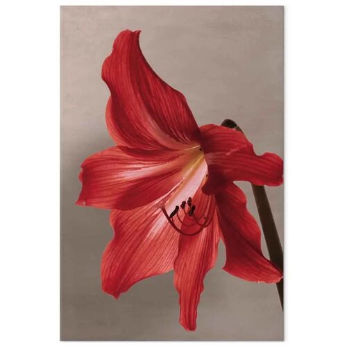  Slika - Red Flower (1 Part) Vertical 60x90 Cene