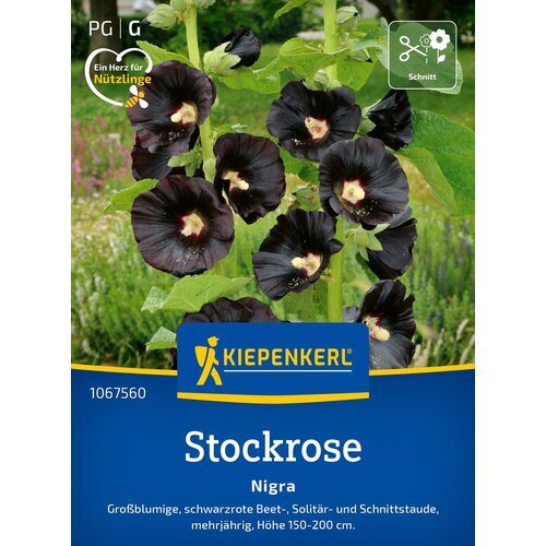 KIEPENKERL Rožlin "Nigra" - 1 pkt. Cene