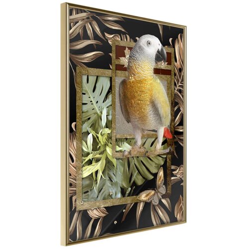  Poster - Composition with Gold Parrot 40x60 Cijene