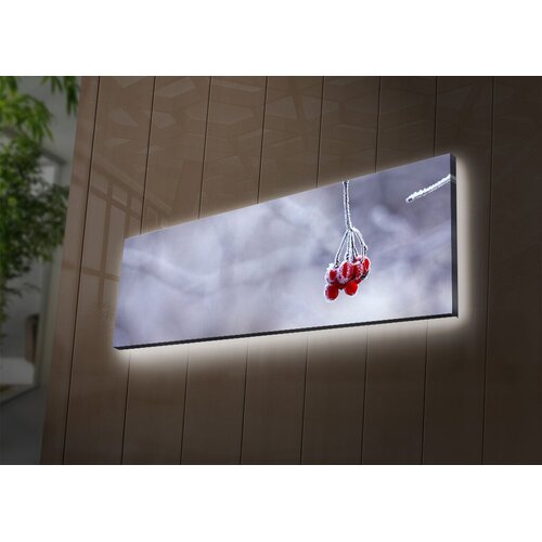 Wallity Zidna slika sa LED osvetljenjem 3090DACT-57, 30x90 cm Cijene