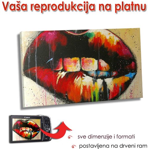  Reprodukcija na platnu - PRAVOUGAONIK M 40x60 cm Cene