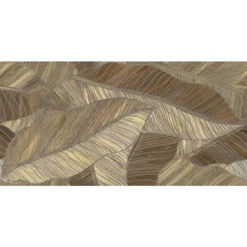 Argenta decor studio litter 60x120cm Cene