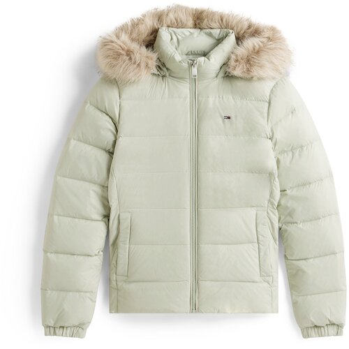 Tommy Jeans Zimska jakna mornarsko plava / pastelno zelena / crvena / bijela Slike