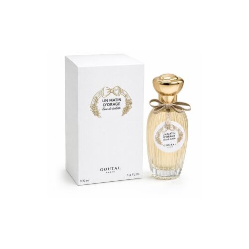 Annick Goutal Un Matin D&amp;#039;Orage toaletna voda za žene 100 ml Slike