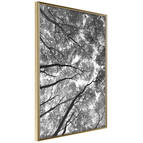  Poster - Lying on the Grass 20x30 Cijene