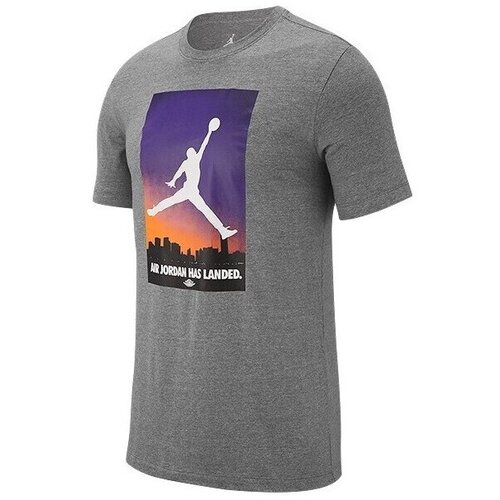 Nike Majice s kratkimi rokavi Air Jordan 23 Siva Cene