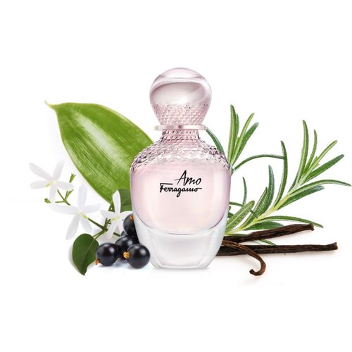 Salvatore Ferragamo Amo Ferragamo EDP 100 ml Slike