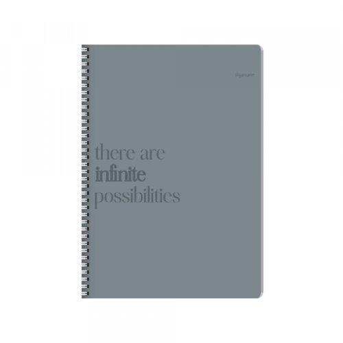 Ilijanum Sveska A4 Infinity spirala sk 120l Cene