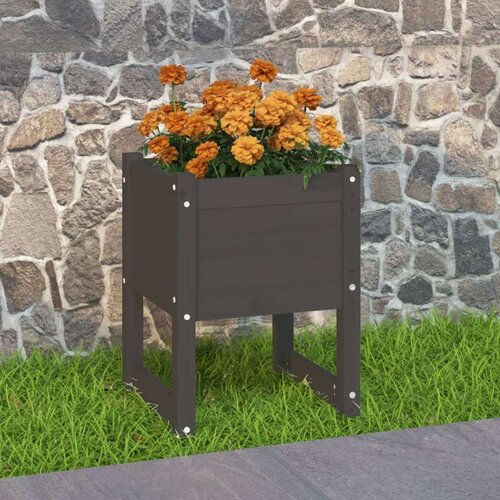 vidaXL Sadilica siva 40 x 40 x 52,5 cm od masivne borovine Cene