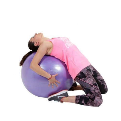  Žoga za vadbo Gymnic Plus vijolična 65cm Cene