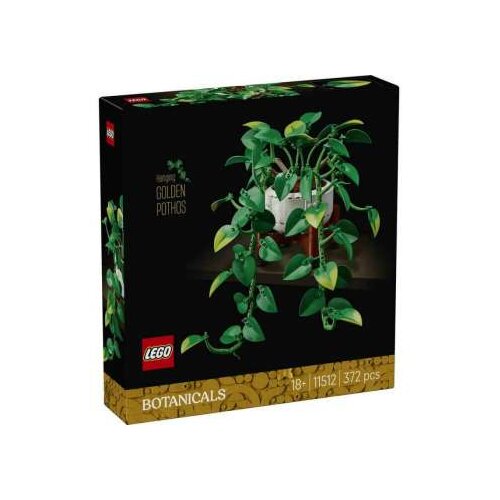  11512 HANGING GOLDEN POTHOS V29 Slike
