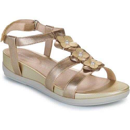 Stonefly EVE 21 Gold Cijene