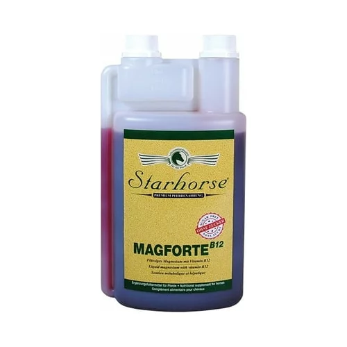Starhorse Magforte B12