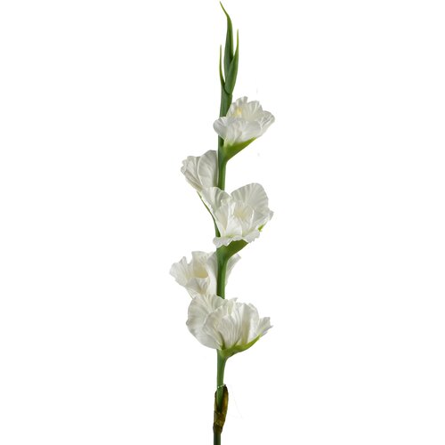 Mondex umetna vejica gumirana Viridis Mieczyk 85cm bela 1kos, (5000301150) Slike
