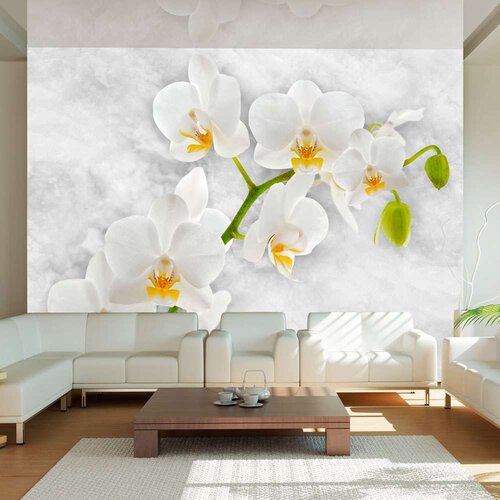 Tapeta - Lyrical orchid - White 400x280 Slike