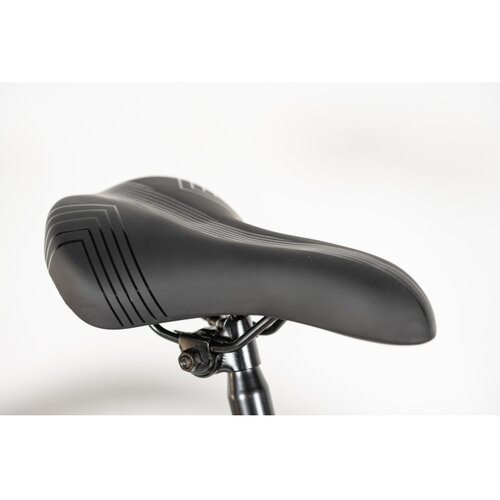 Winner Bike BIC.20/1-TN24Q22-PURPLE Slike