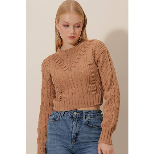 HAKKE Chickpea Pattern Sleeves Knit Crop Sweater BLOUSE Slike